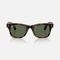Умные очки Ray-Ban Meta Gen 3 Wayfarer Polished Havana / G-15 Green