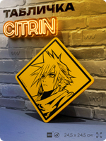 Табличка декоративная "Final Fantasy, Клауд Страйф, Cloud Strife" на дверь и стену, прикольная штука в подарок геймеру, декоративный знак, 24,5х24,5 см, Айдентика Технолоджи