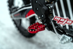 T8 Red Bear