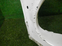 DSCN4008.jpg