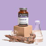 Quality of Life, CoQ10-SR®, 100 мг, 60 растительных капсул