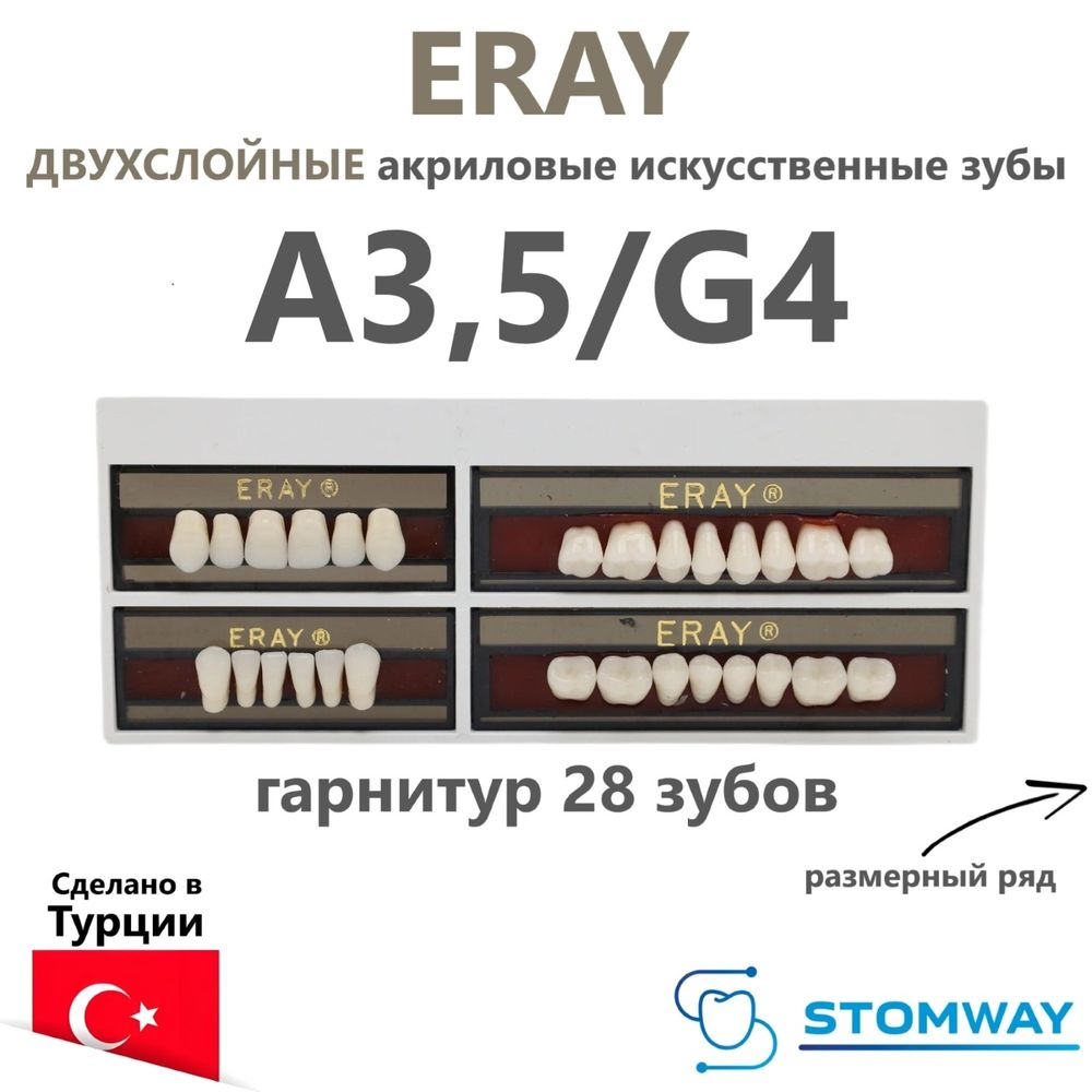 Eray (гарнитур 28 зубов, A3,5/G4) зубы искусственные акриловые двухслойные