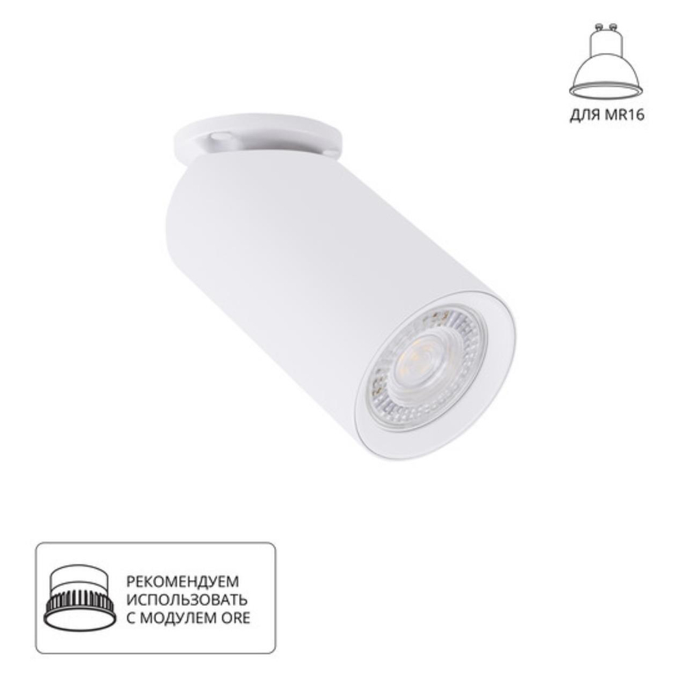 Накладной светильник Arte Lamp NODO A3213PL-1WH