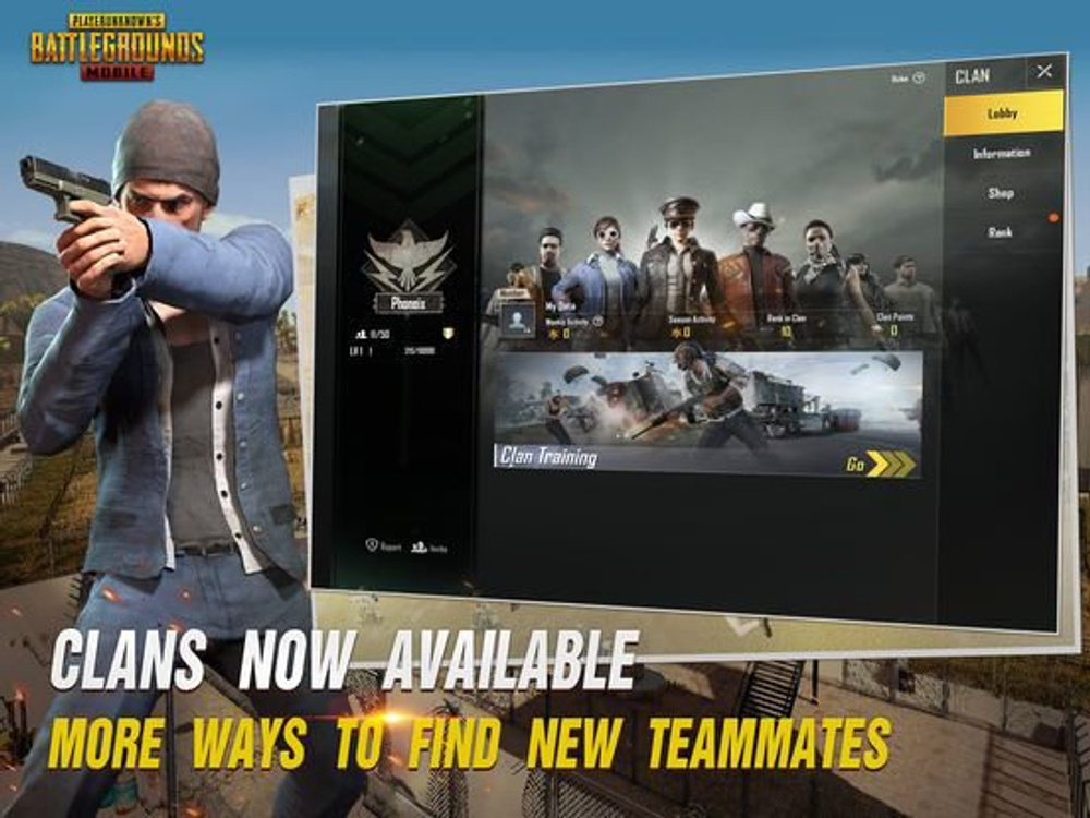 Игровая валюта PUBG Mobile 300 + 25 UC [Цифровая версия]