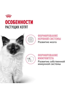 Мультипак 10 штук: Kitten в соусе и желе (5+5)