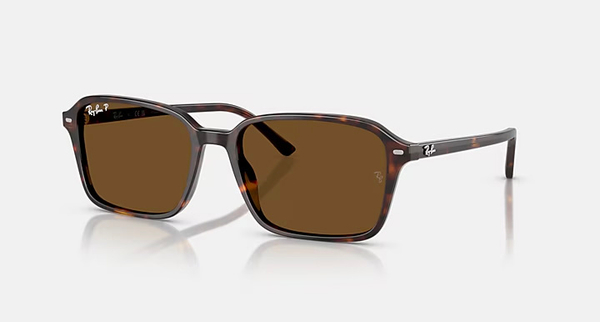 RAY-BAN RAIMOND RB2231-F 902/57
