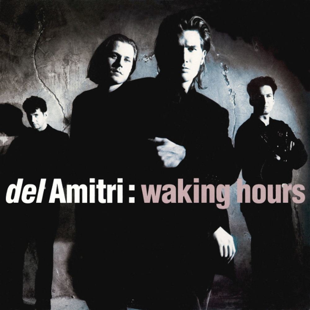 Del Amitri / Waking Hours (Deluxe Edition)(2CD)