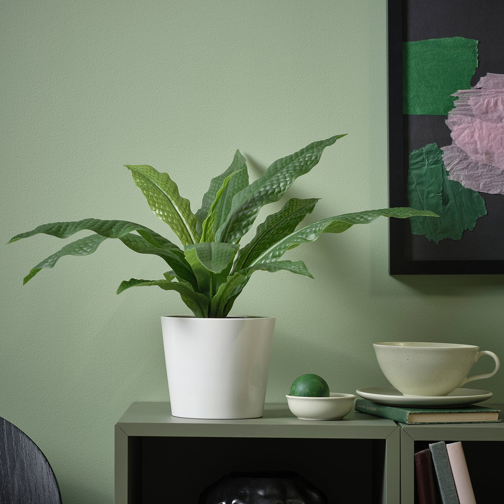 IKEA FEJKA  (ИКЕА ФЕЙКА)  -  Искусственное растение в горшке - для дома/улицы Папоротник Microsorum Crocodyllus 12 см