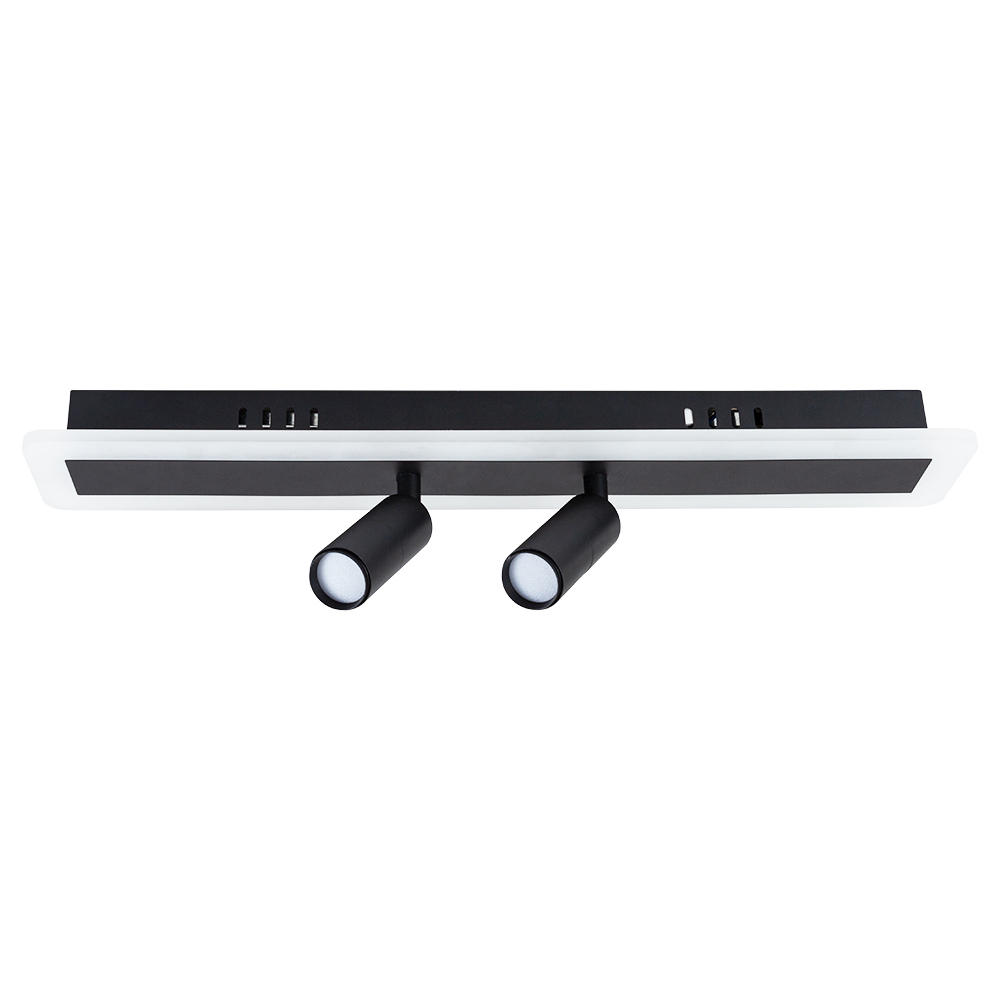 Светильник потолочный Arte Lamp Tommy A2607PL-22BK
