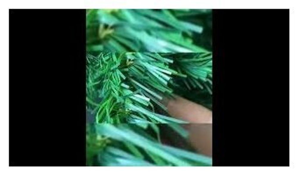 Ель новогодняя искусственная "Classic Green" 150 см, ПВХ, зеленая, ЗОЛОТАЯ СКАЗКА, 591304