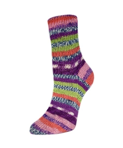 Пряжа Rellana Flotte Socke 4f. Roma (3221)