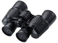 Бинокль GAUT Vega 8x40 (GV840B)