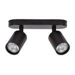 Настенно-потолочный светильник Arte Lamp AQUARIUS A3226PL-2BK