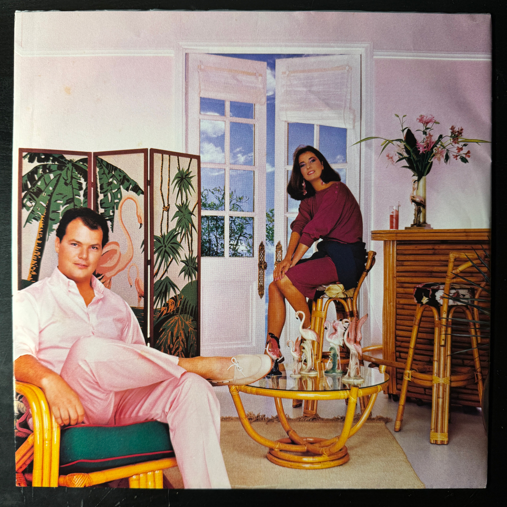 Виниловая пластинка Christopher Cross ‎– Another Page LP