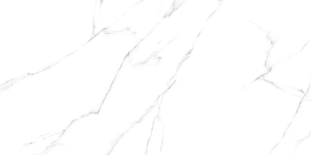 Керамогранит Alma Ceramica GFU60120CRR00R Carrara 60x120 белый глазурованный матовый под камень