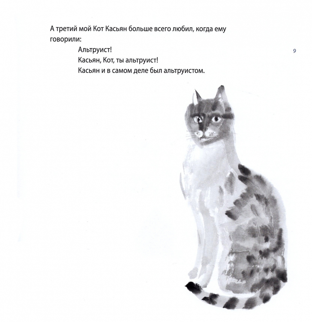 Моим котам