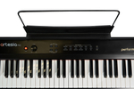 artesia_performer_(3)_-1886400449.jpg