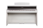 Kurzweil Andante CUP410
