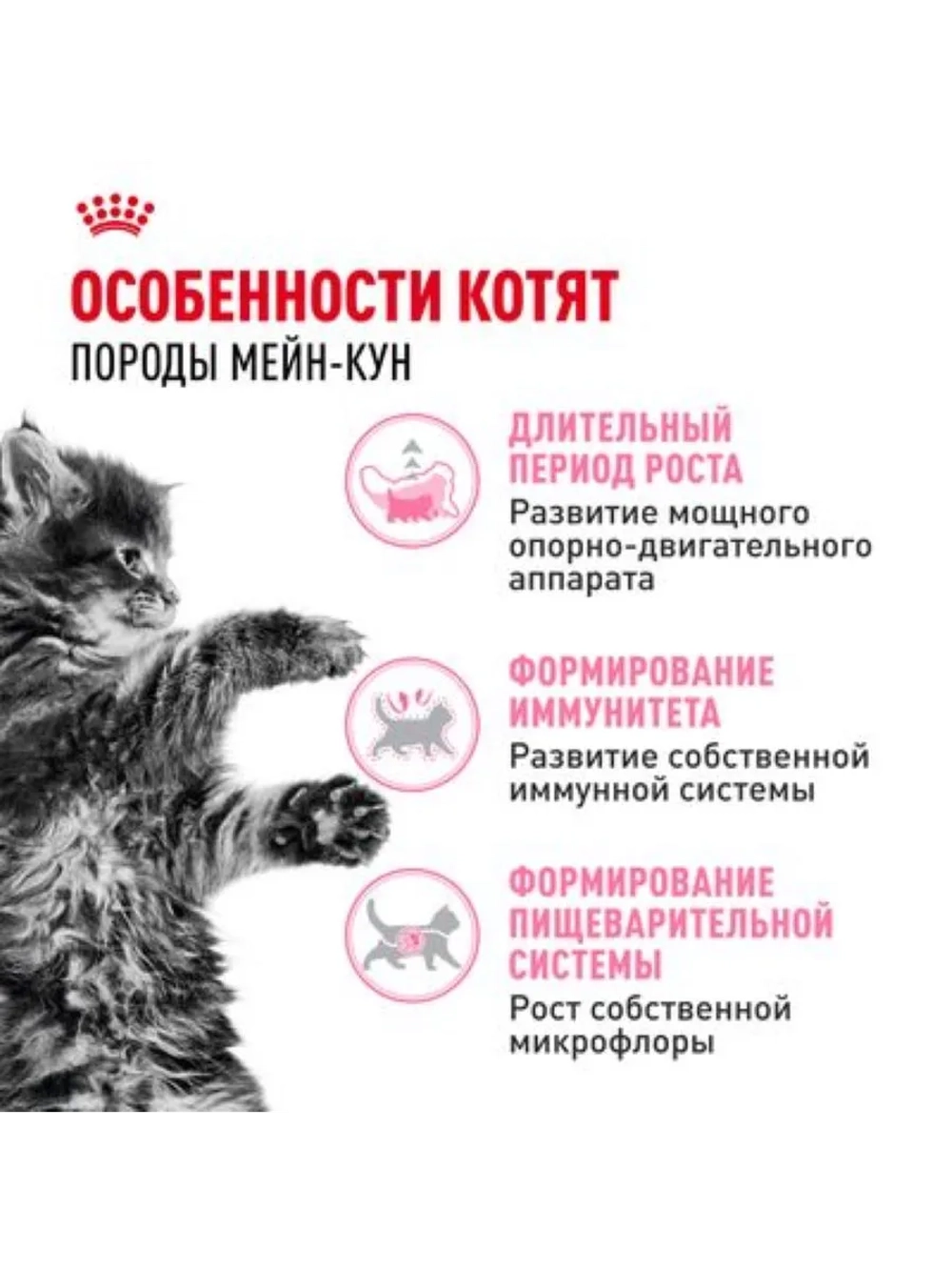 Maine Coon Kitten Корм для котят 2кг