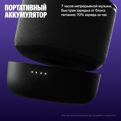 Умная колонка Yandex Станция Мини 3 Про Алиса черный 18W 1.0 BT/Wi-Fi (YNDX-00059BLK)