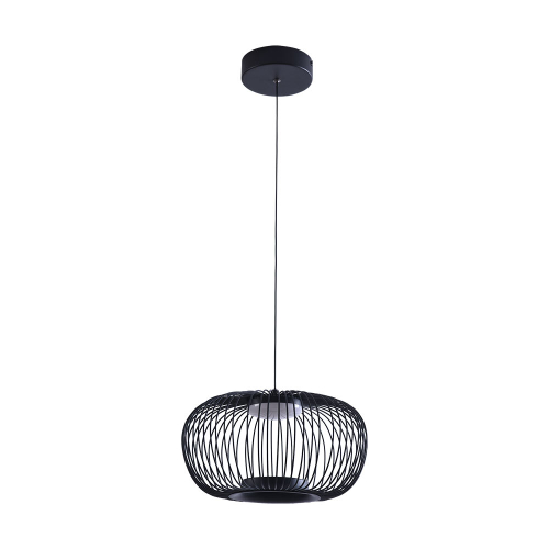 Подвесной светодиодный светильник Arte Lamp FLARE A3527SP-12BK