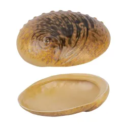 Салатник 365 мл 19*14,5 см h5 см для закусок Light Pearl Ammonite Shell Frutti di Mare P.L. [1]