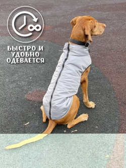 Жилет для собак мелких и средних пород зимний