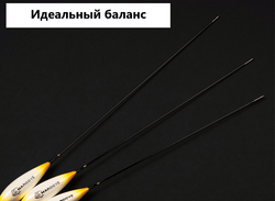 ВСТРЕЧА ОСЕНИ carbon conical