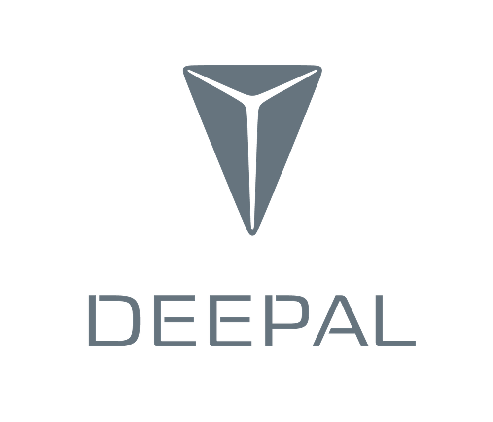 Задняя правая дверь DEEPAL S05 2024-2026 C857F270103-1002