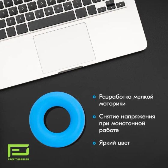 ЭСПАНДЕР КИСТЕВОЙ PROFITNESSLAB 10 КГ