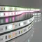 Светодиодная лента 24V 60Led 14,4W IP20 RGBW Лента светодиодная 24V 14,4W 60Led 5050+5050 IP20 MIX RGB/холодный белый, 5м Elektrostandard