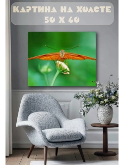 Картина на стену 40 X 50 Бабочка