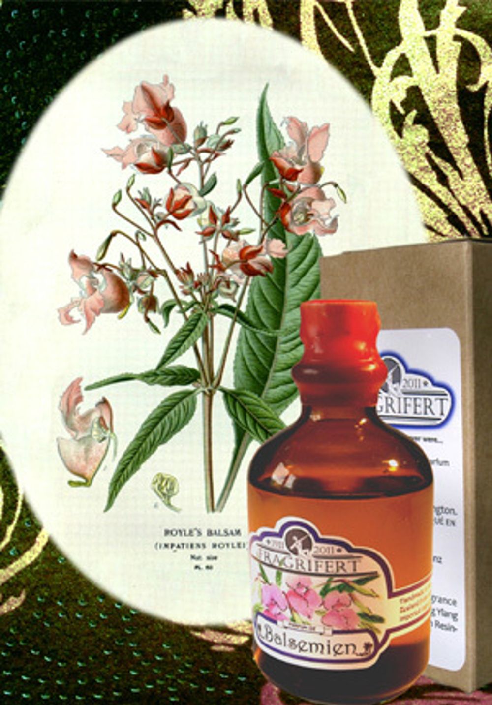 Fragrifert Parfumeur Ajonc