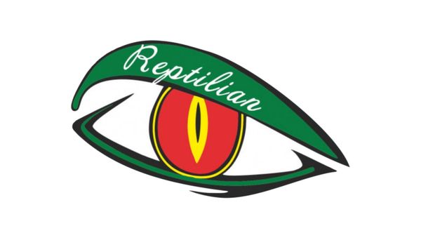 Интересные новинки от бренда Reptilian 2025 Интересные новинки от бренда Reptilian 2025