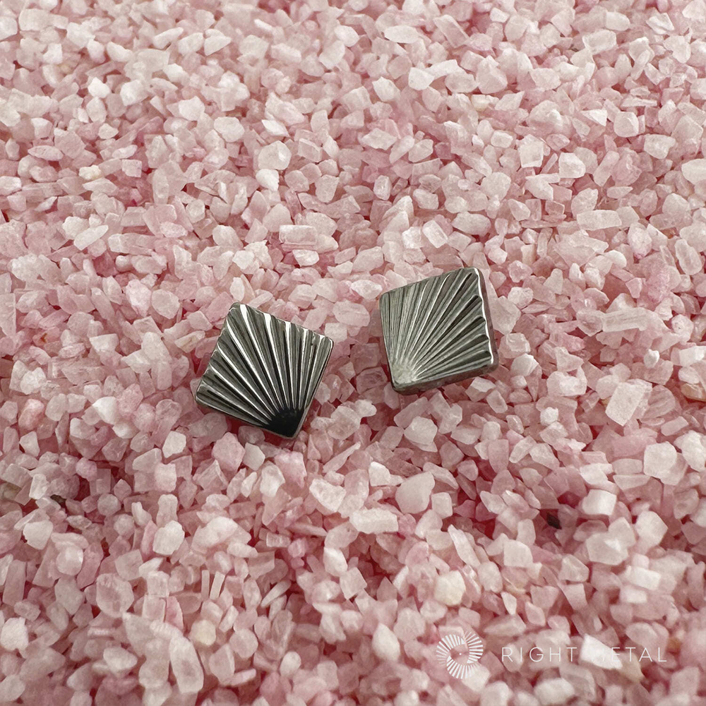 Shell Texture