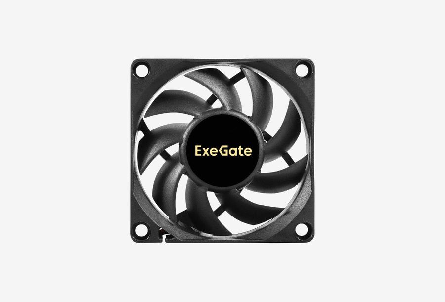 EX297039RUS_0126930104038