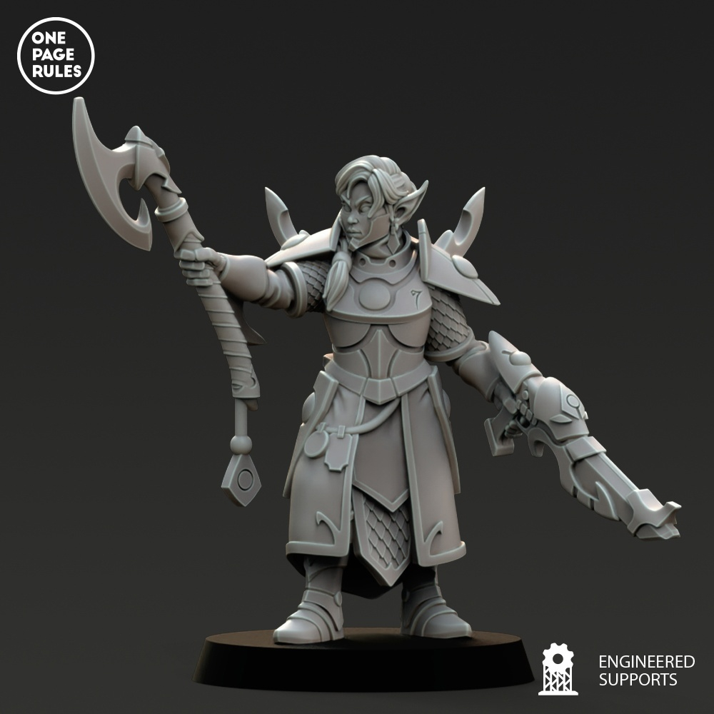 Eldar Sergeant  v4