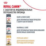 Royal Canin Persian Kitten Персиан Киттен Корм сухой для котят персидской породы до 12 месяцев 2кг