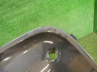 DSCN4725.jpg