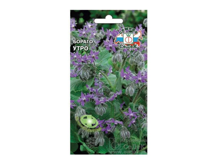 Бораго Утро (огуречная трава, сиреневый) (Евро , 0,5) СеДеК 15.81 3419