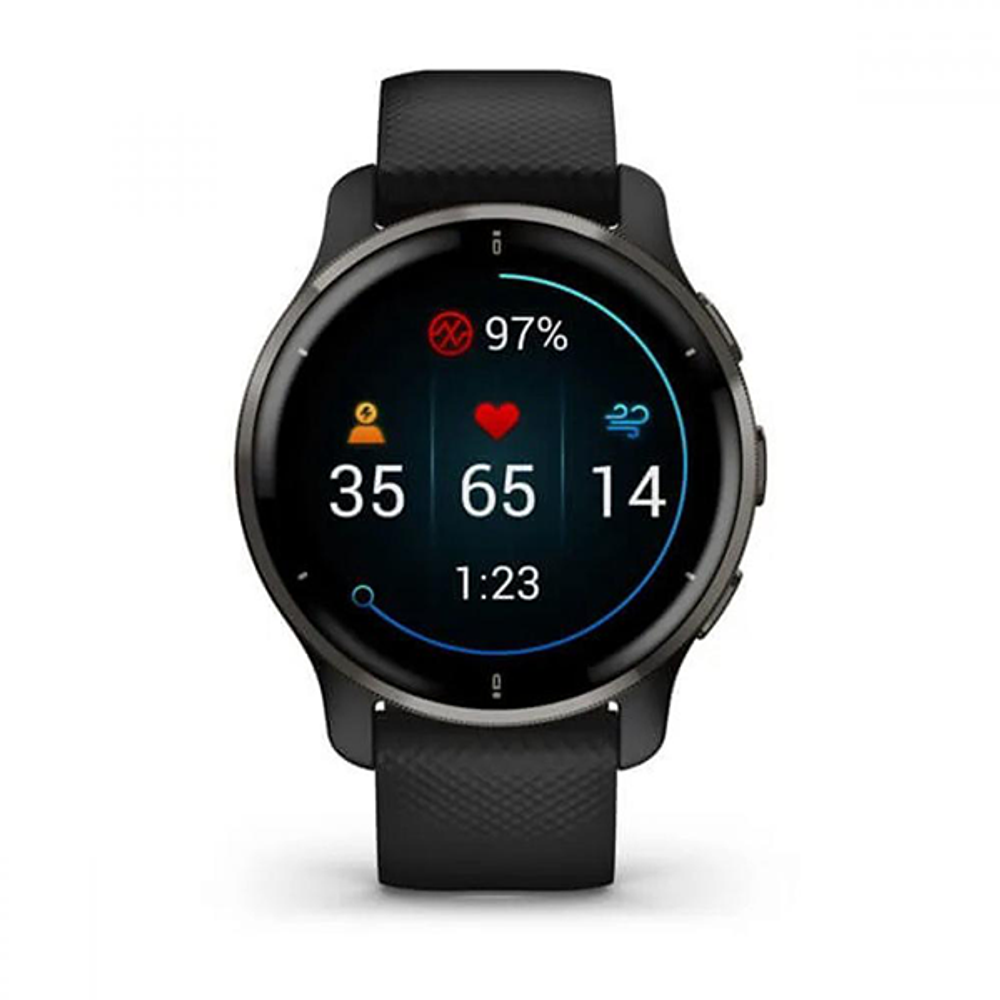 Умные часы Garmin Venu 2 Plus Black