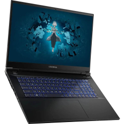 Ноутбук Colorful EVOL X17 PRO (A10205400061)