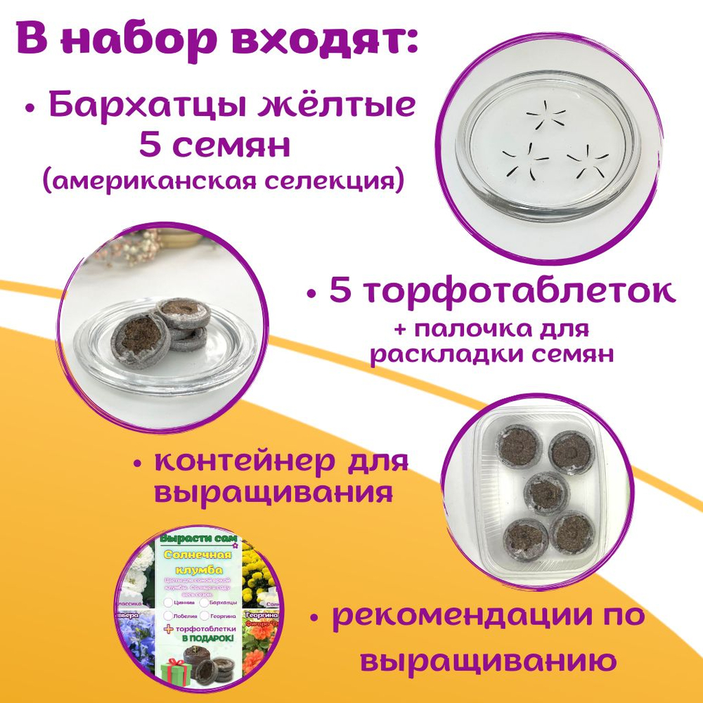 Семена Бархатцы низкорослые желтые махровые Марвел + торфяные таблетки Jiffy в подарок, 5шт
