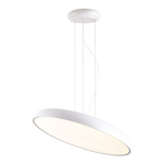 Подвесной светодиодный светильник Lussole CROOK LSP-7361
