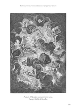 Тайна человеческих отношений. Алхимия и трансформация Самости (PDF)