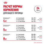 Royal Canin Maine Coon Kitten Киттен Мейн Кун Корм сухой для котят породы Мэйн Кун в возрасте от 4 до 15 месяцев 2кг