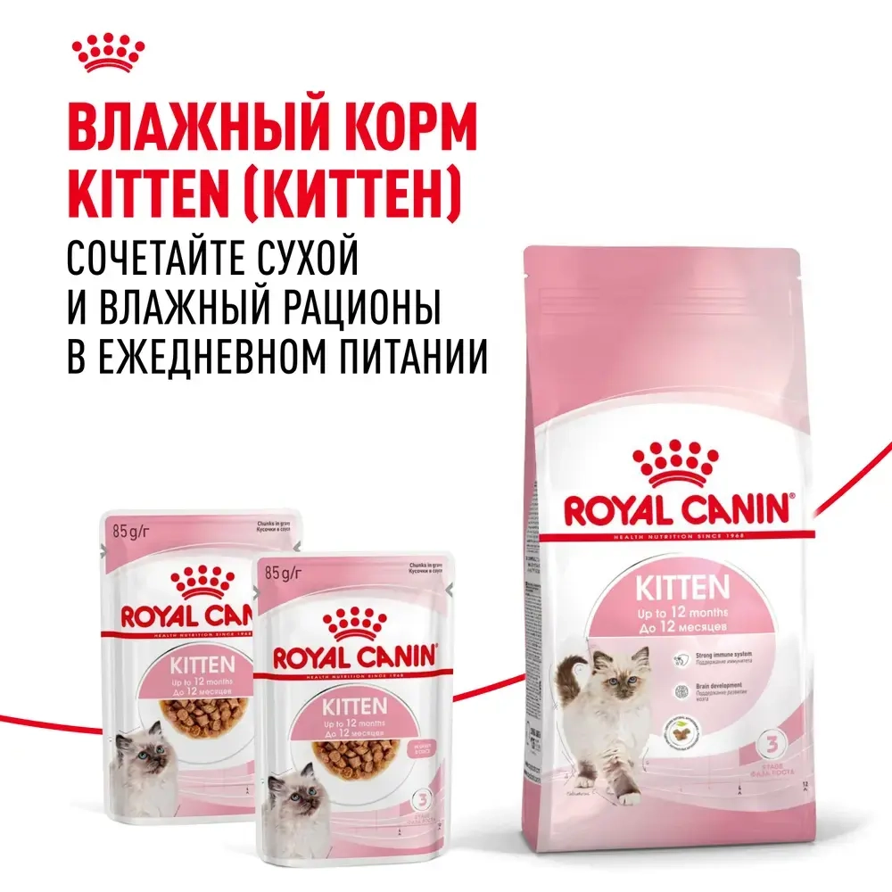 Сухой корм для котят в возрасте до 12 месяцев  Royal Canin Kitten РАЗВЕСНОЙ