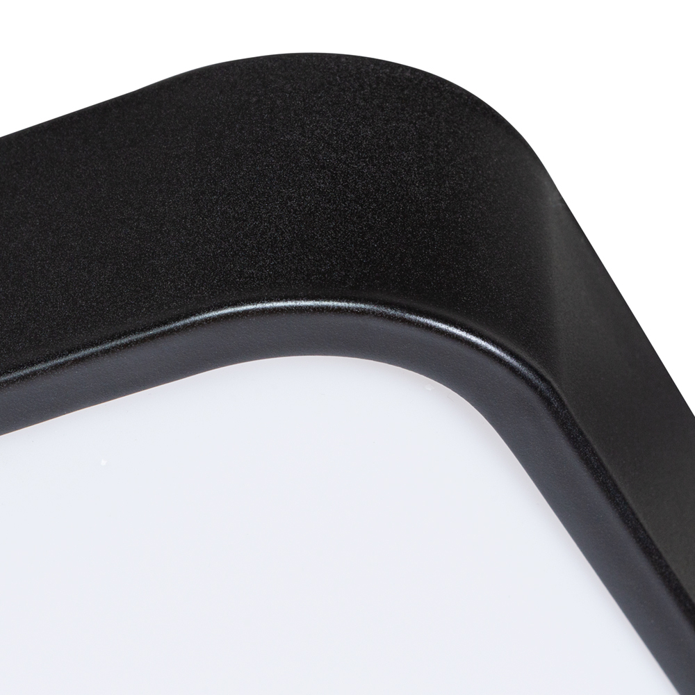 Светильник потолочный Arte Lamp Scena A2669PL-1BK