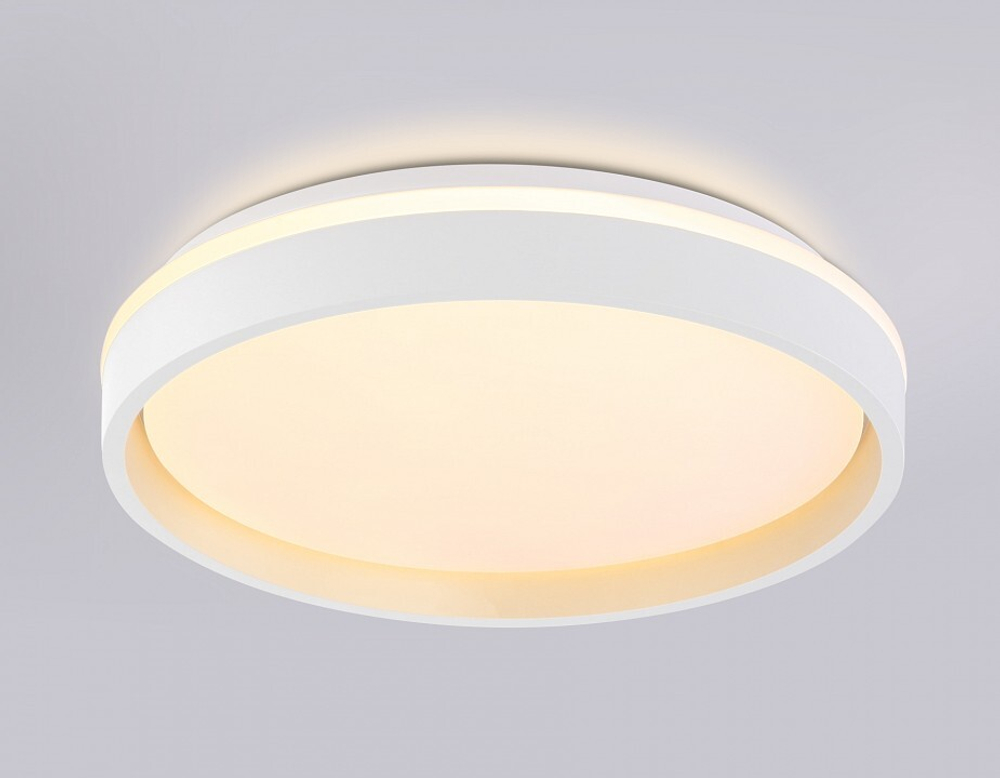 Накладной светильник Ambrella Light FZ FZ601
