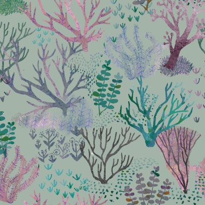 водоросли. seaweed